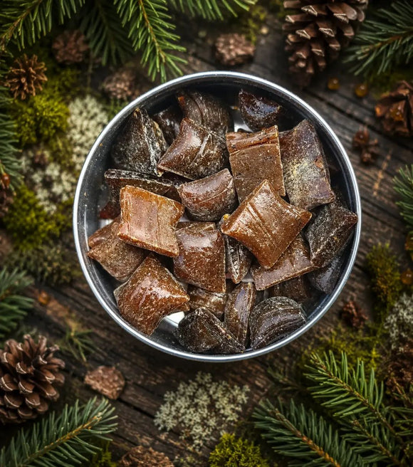 Alberta Wildcraft Spruce Resin Gum